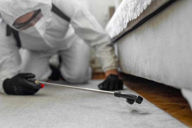 Professional Termite Control technician working in St. James City, FL
