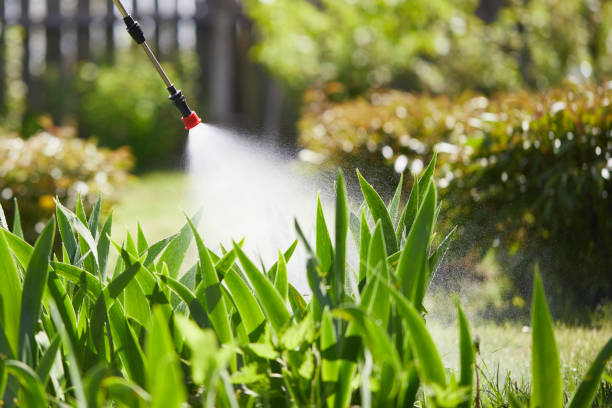 24/7 Emergency Termite Control experts in St. James City, FL
